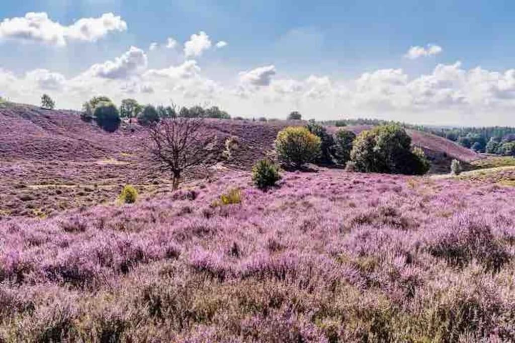 Toetje Op De Veluwe Chalet